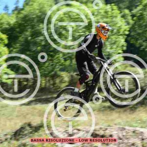 NIC_9326_tn