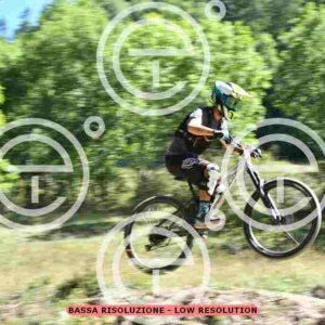 NIC_9330_tn
