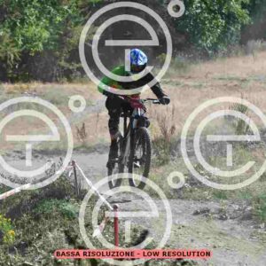 NIC_9340_tn