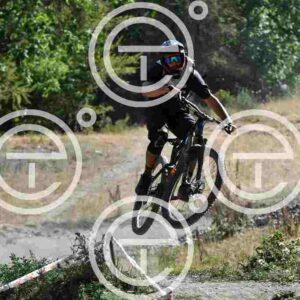 NIC_9343_tn