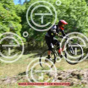 NIC_9352_tn