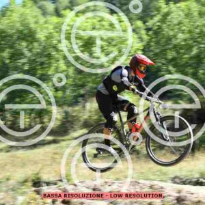 NIC_9353_tn