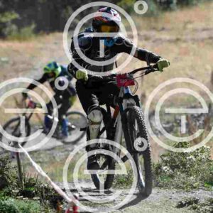 NIC_9354_tn