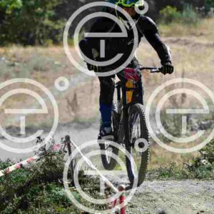 NIC_9357_tn