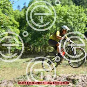 NIC_9358_tn