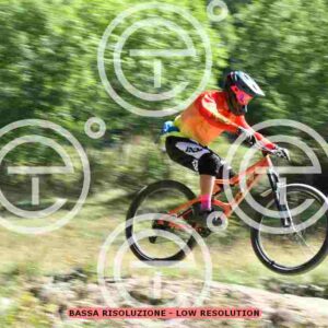 NIC_9370_tn