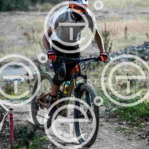 NIC_9383-2_tn