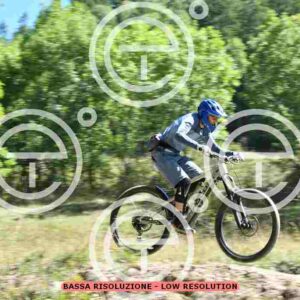 NIC_9391_tn