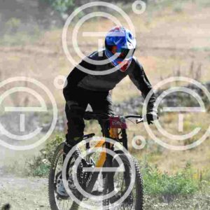 NIC_9392_tn