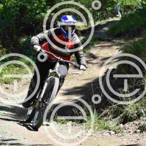 NIC_9405_tn