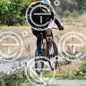 NIC_9422_tn