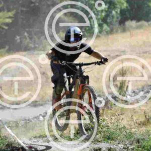 NIC_9466_tn