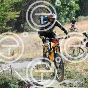 NIC_9474_tn
