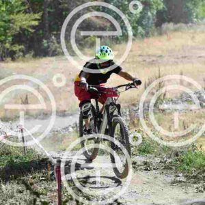 NIC_9481_tn