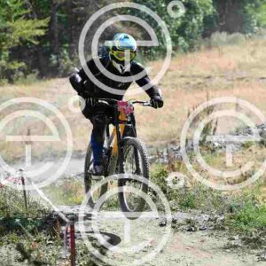 NIC_9485_tn