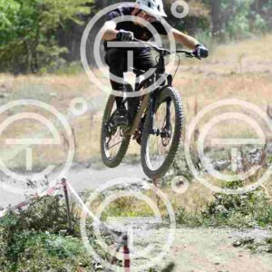 NIC_9517_tn