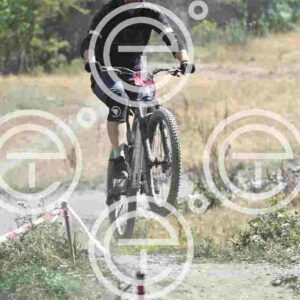 NIC_9526_tn