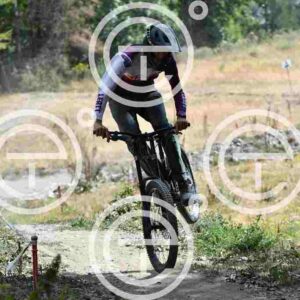 NIC_9536_tn