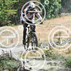 NIC_9542_tn