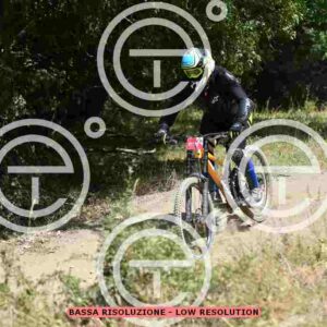 NIC_9614_tn