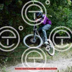 NIC_9658-2_tn