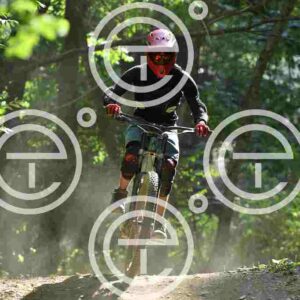 NIC_9773_tn