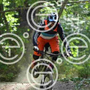NIC_9787_tn