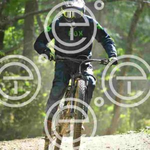 NIC_9903_tn