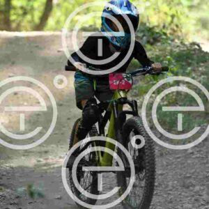 NIC_9940_tn