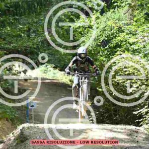 NIC_9947_tn