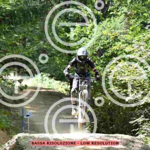 NIC_9948_tn