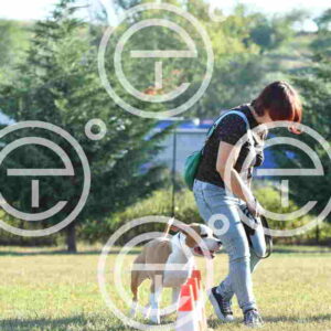 NIC_2339_tn