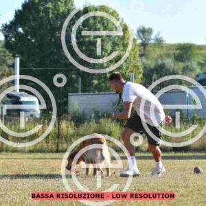 NIC_2497_tn